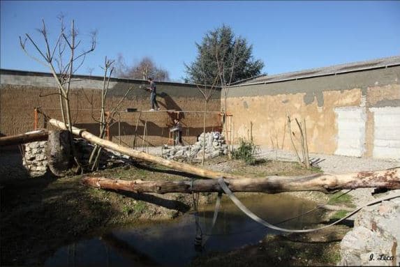 Transformation des deux anciennes fosses à ours en enclos pour les jaguars.