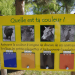 Photo d'un panneau pédagogique sur les couleurs des animaux.