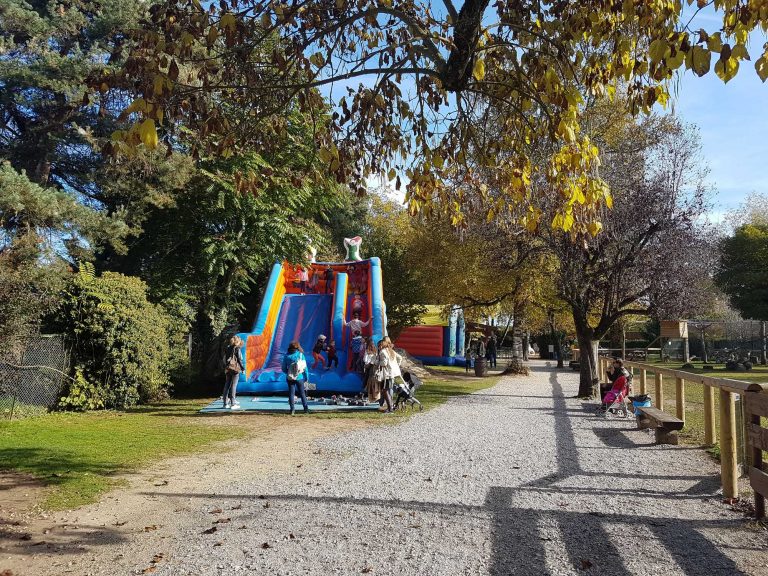 View of the inflatable slides.