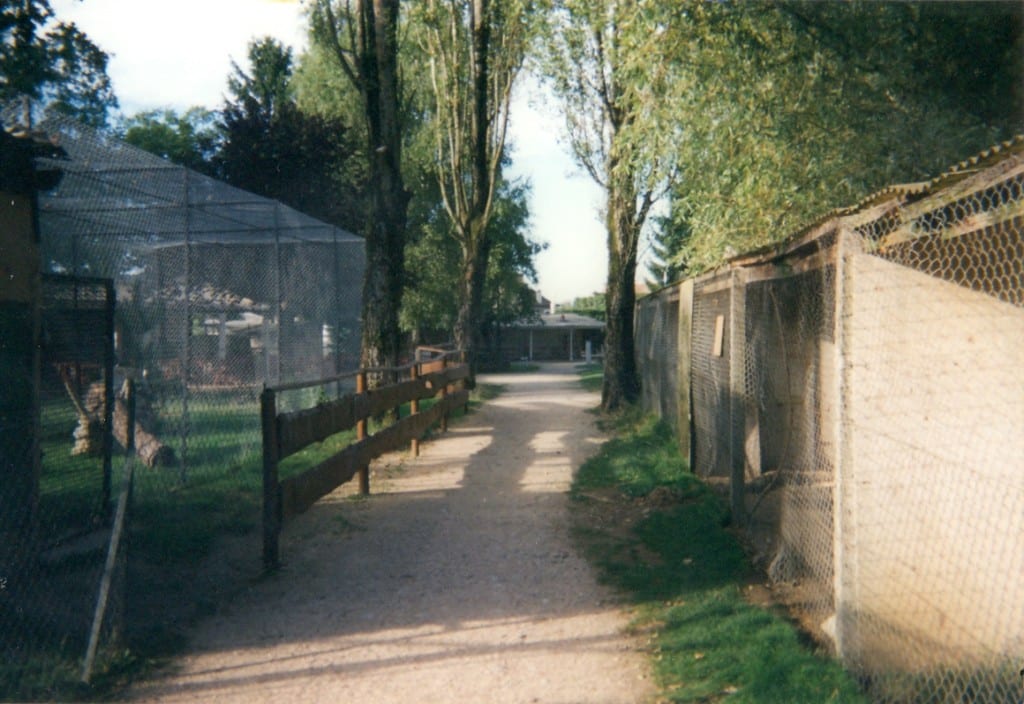 mai 1996 allée entre chat des marais et point pique nique. Ex-volières faisans