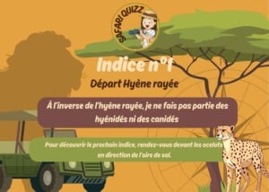 Safari quizz